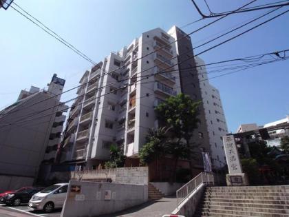 ヴィラロイヤル平河の外観