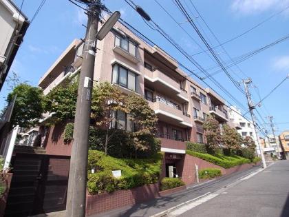 ヒルズ梅ヶ丘ステラハウスの外観