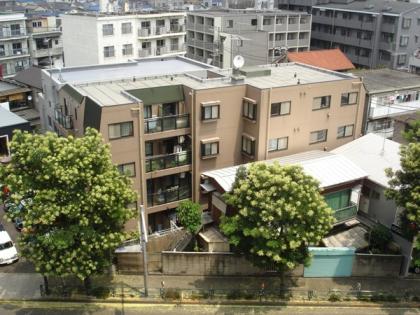 マイキャッスル田園調布2の外観