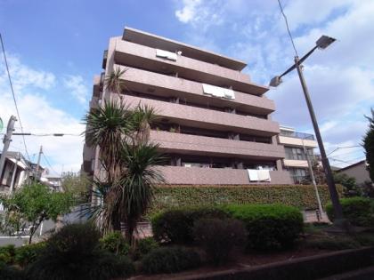 ルピナス豊玉南の外観