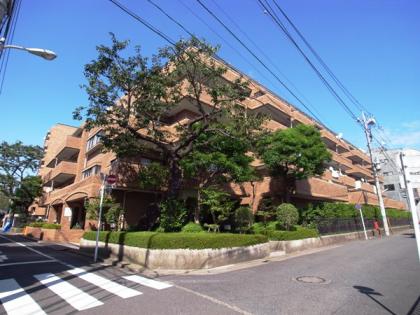 スターロワイヤル雪谷の外観