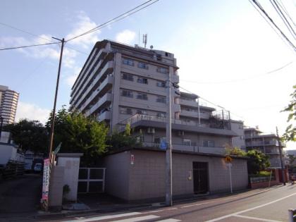 NICハイム多摩川　ニックハイム多摩川の外観