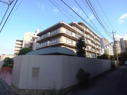 新多摩川スカイハイツの外観