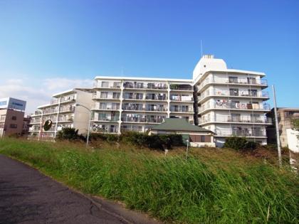多摩川ビューハイツの外観