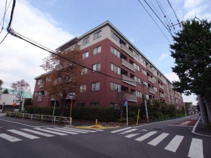 碑文谷ヒルズサレジオ通りの外観