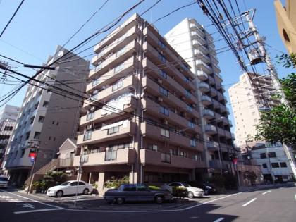 ダイアパレスステーションプラザ板橋の外観