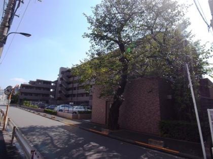 ライオンズマンション十条台の外観