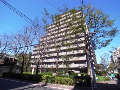芦花公園パークホームズの外観