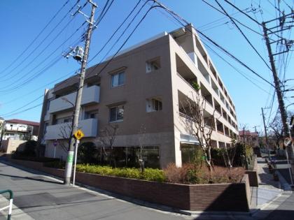 グローヴステージの外観