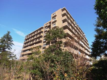 コスモタウン金町の外観