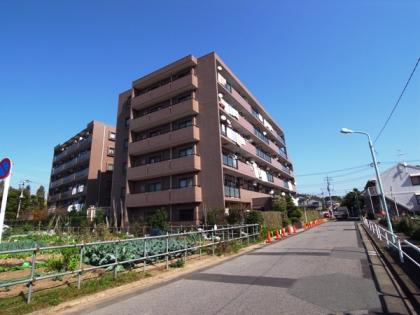 ルイシャトレ水元公園パークサイドの外観