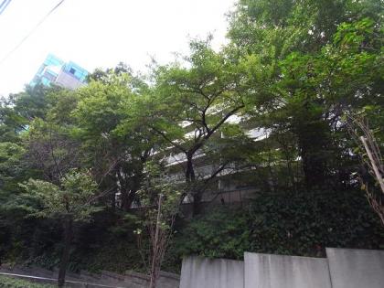 青葉台マンションの外観