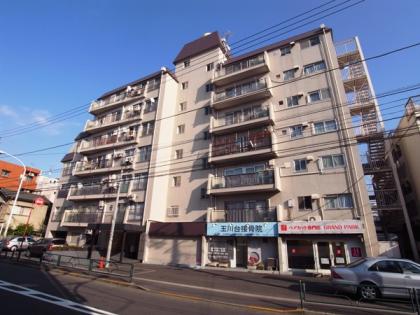 玉川台スカイマンションの外観