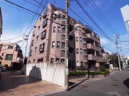 ライオンズガーデン砧の外観