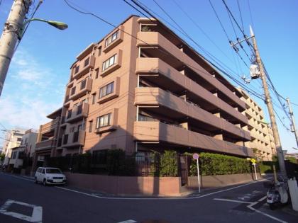 ナイスアーバン砧エアリースクエアの外観