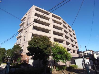 レクセルマンション立石の外観