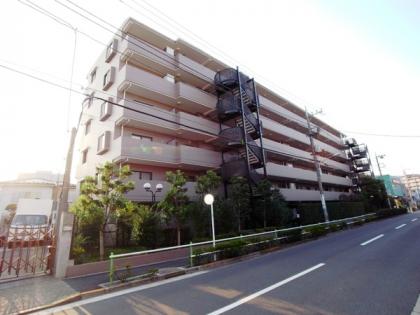 アドリーム蓮根の外観