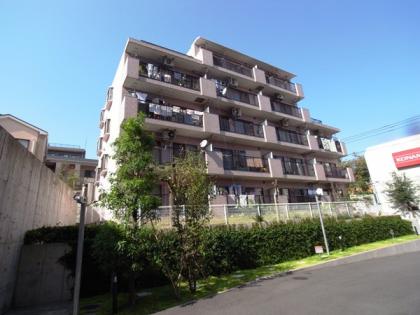 コスモ成増の外観