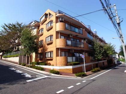 ダイアパレス成増2の外観