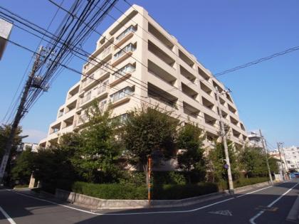 イトーピア桜新町グランピークスの外観