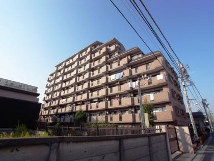 ライオンズシティ蓮根の外観