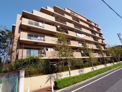 ライネスハイム成増の外観