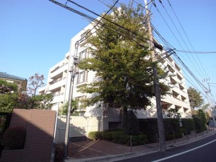 弦巻ヒルズの外観