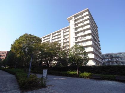 弦巻ハイツの外観