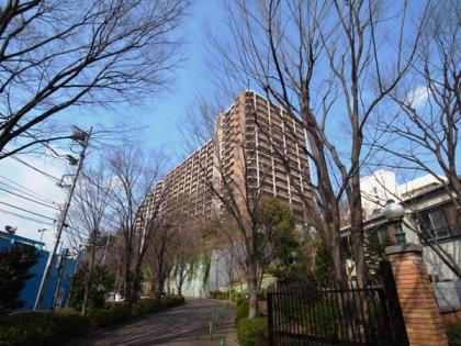 ヴィオスガーデン城山の外観