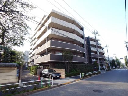 レクセルマンション本蓮沼の外観