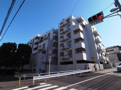 パセオ三光坂の外観