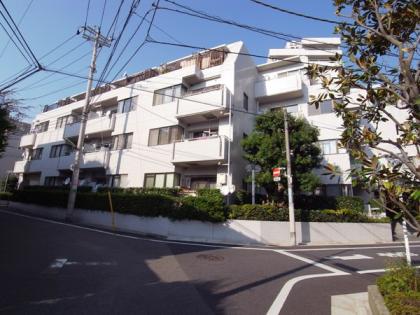 ペアパレス桜新町山桃館の外観