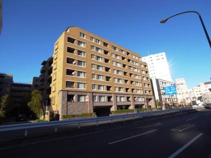 レジオン白金クロスの外観