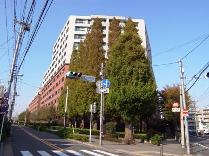 ラコルダ弦巻フォレストコートの外観