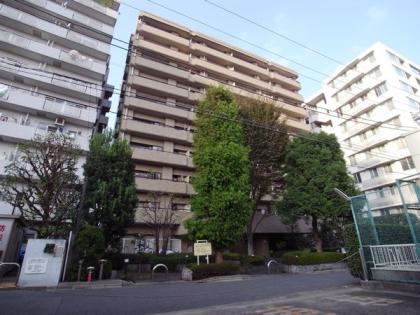 プレステージ三軒茶屋ラフィーネの外観