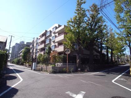 ヒルズ学芸大学の外観