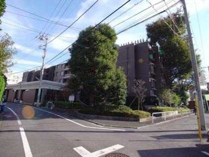 グランコート弦巻の外観