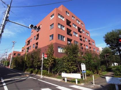 ツインズコート弦巻サウステラスの外観