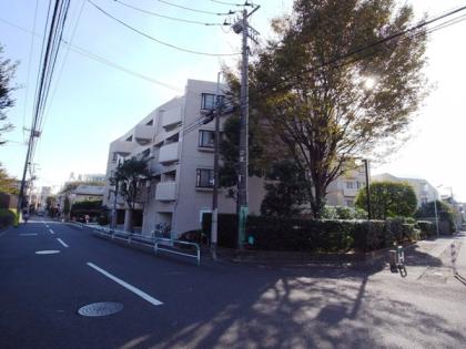 パークハイム新町三丁目の外観