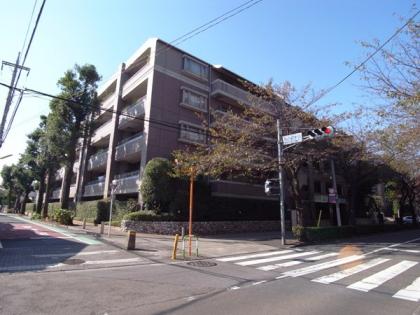 グランベスタージュ桜丘の外観