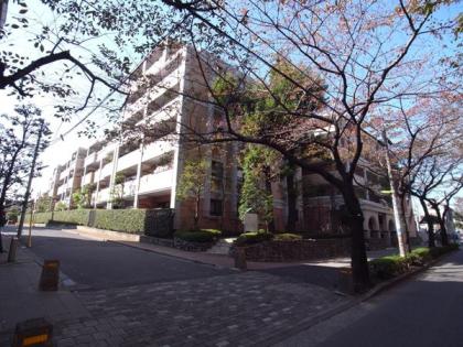 ナイスステージ世田谷桜丘の外観