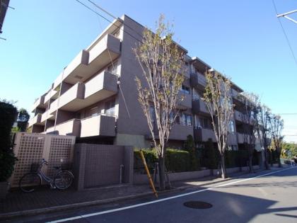 等々力ヒルズパティアージュの外観