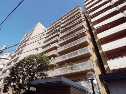 イトーピア渋谷桜ヶ丘の外観