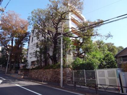 パークハウス等々力W棟の外観