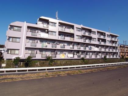 セザールリバーサイド上野毛の外観