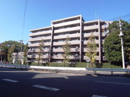 パークハイム等々力三丁目壱番館の外観