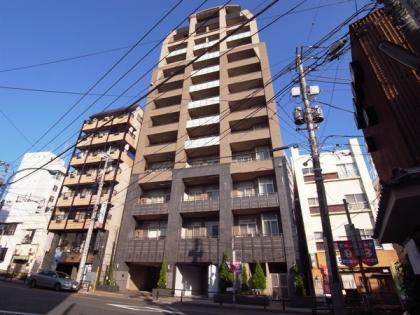 ハイセレサ奥沢シティタワーの外観