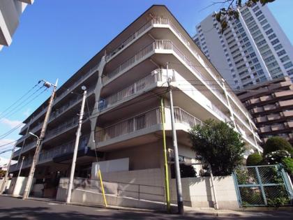 二子玉川第一スカイハイツの外観