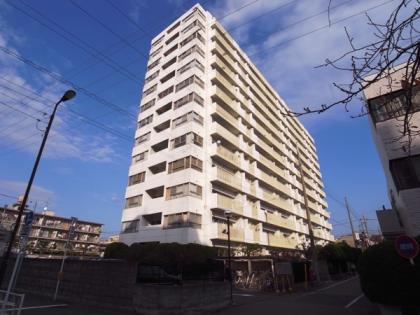 ドルフ都立大の外観