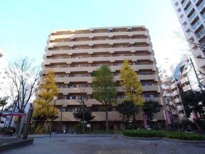 ライオンズマンション新宿東公園の外観